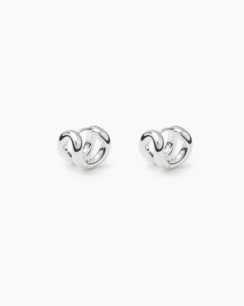 Pair of silver earrings on a white background